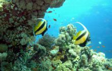 St. Johns - październik 2009