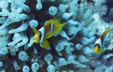 St. Johns - październik 2009