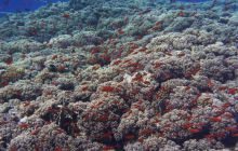 St. Johns - październik 2009