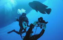 St. Johns - październik 2009