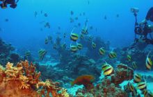 St. Johns - październik 2009