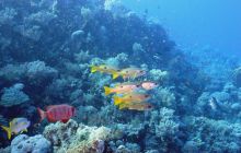 St. Johns - październik 2009