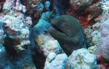 St. Johns - październik 2009