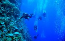 St. Johns - październik 2009