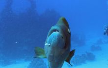 St. Johns - październik 2009