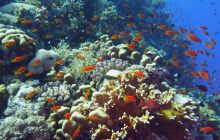 St. Johns - październik 2009