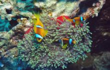 St. Johns - październik 2009