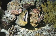 St. Johns - październik 2009