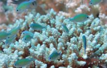 St. Johns - październik 2009