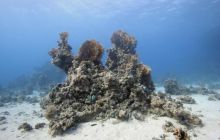 St. Johns - październik 2009