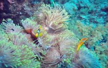 St. Johns - październik 2009