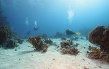 St. Johns - październik 2009