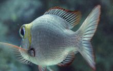 St. Johns - październik 2009