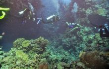 St. Johns - październik 2009