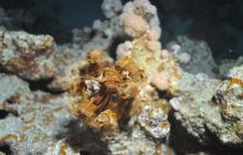 St. Johns - październik 2009