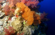 Brothers - październik 2009