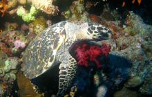 Brothers - październik 2009