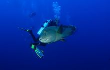 Brothers - październik 2009