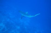 Brothers - październik 2009