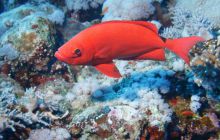 Brothers - październik 2009