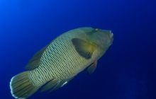 Brothers - październik 2009