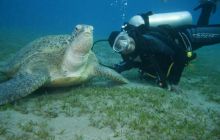 Brothers - październik 2009