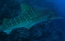 Brothers - październik 2009