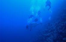 Brothers - październik 2009