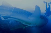 Brothers - październik 2009