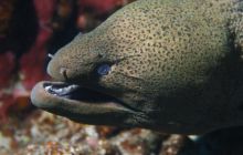 Brothers - październik 2009