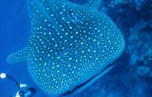 Brothers - październik 2009