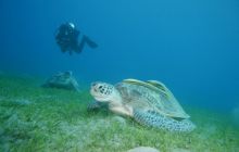 Brothers - październik 2009