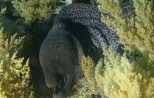 Brothers - październik 2009