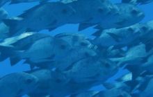 Brothers - październik 2009