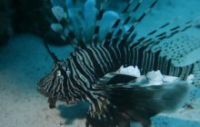 Brothers - październik 2009