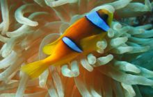 Brothers - październik 2009