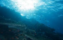 Brothers - październik 2009