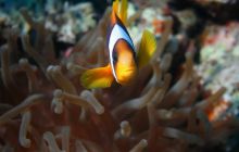 Brothers - październik 2009