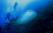 Brothers - październik 2009