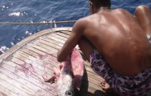 Brothers - październik 2009