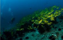 RPA + Mozambik - marzec 2010