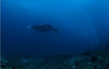 RPA + Mozambik - marzec 2010