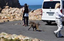 RPA + Mozambik - marzec 2010