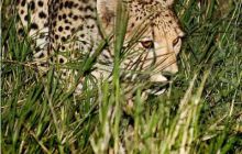 RPA + Mozambik - marzec 2010