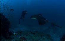 RPA + Mozambik - marzec 2010