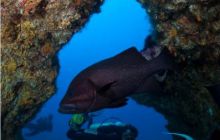 RPA + Mozambik - marzec 2010