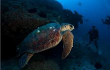 RPA + Mozambik - marzec 2010