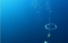 RPA + Mozambik - marzec 2010