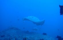 RPA + Mozambik - marzec 2010