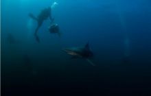 RPA + Mozambik - marzec 2010